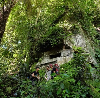 Bogani Explorer
