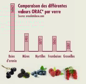 a chart of different fruits and berries on a white background