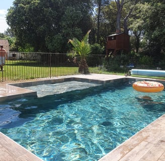piscine et palmier