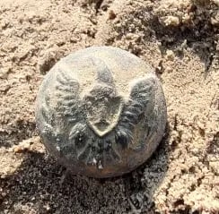 union infantry button civil war 