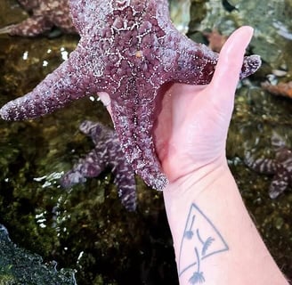 CA Coast - Holding a purple starfish at Ocean World in Crescent City