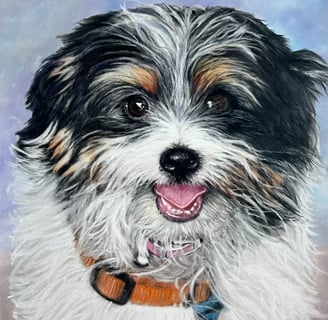 Pastel drawing of Maltese Terrier