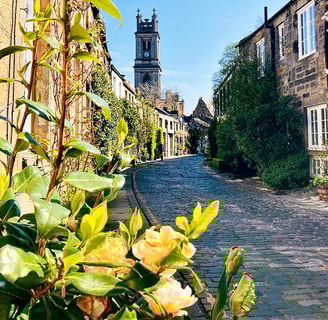 Circus Lane et ses roses jaunes