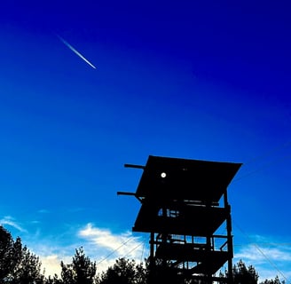 Silhouette of a fire tower against a deep blue sky with a jet trail overhead, surrounded by treetops and clouds.