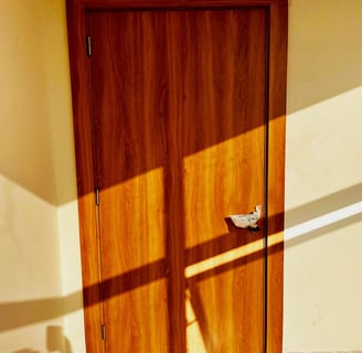 a door with a door handle and a door handle