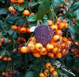 One of our Jumbo Jazz coconut shell guitar picks with a bunch of Firethorn berries.