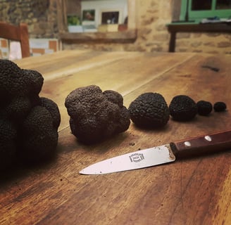 rangée de truffes aligné de la plus grosse à la plus petite