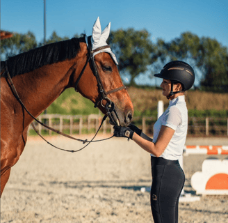 cavallo salto ostacoli