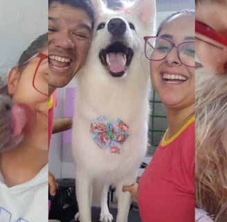 donos da miau banho e tosa na sessão de fotos