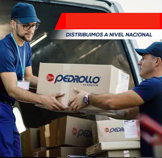 Distribuidor pedrollo