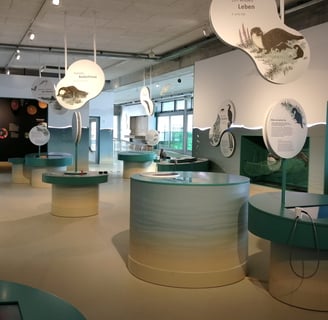 Ausstellung Watt.Land.Fluss Multimar Wattforum