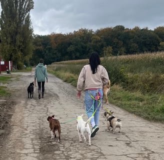 Eine Gruppe beim Social Walk in der nähe von Hannover