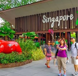 Singapore zoo best tourist attractions in Singapore