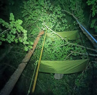 Deux hamacs suspendus haut dans les arbres