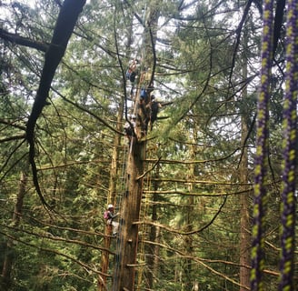 Groupe de jeunes grimpant sur un arbre