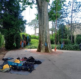Cordes suspendues à un arbre et materiel de grimpe rangé au sol