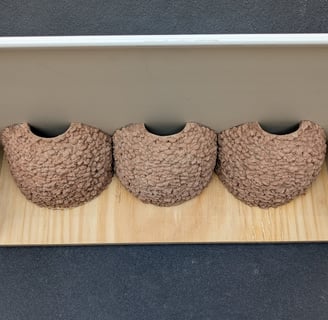 triple-house-martin-nest-cup-with-upvc-false-eaves--by-nest-cup-box