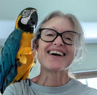 Kathy LaFollett of Murals and Canvas with her companion parrot, Butters.