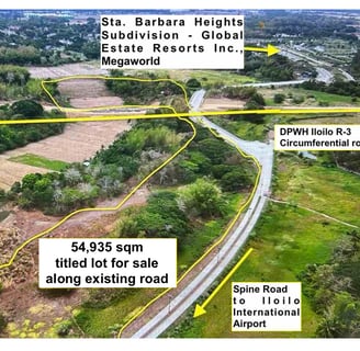 Titled lot along the road for sale near Iloilo Airport and Sta. Barbara Heights