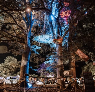 Vue de nuit de l'installation "Chill Perché" au festival "Hadra" 