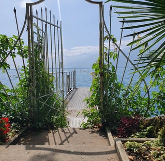 a gated in area with a wooden fence and a gate