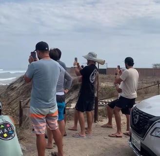 Group of people taking pictures