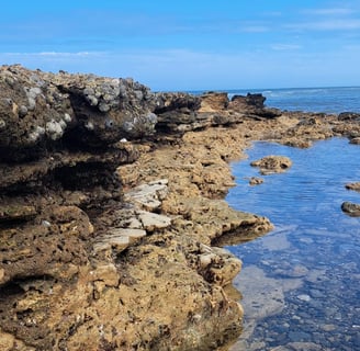 Rocky Reef