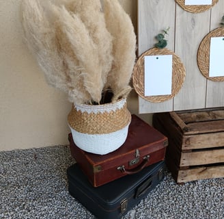 panier de pampas
