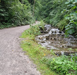 waldweg alpbach prinzenweg wanderweg tegernsee schliersee