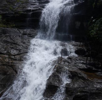 Cheeyappara Waterfalls Munnar