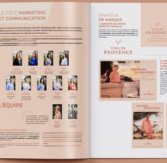 rapport d'activité