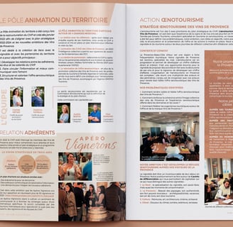 rapport d'activité
