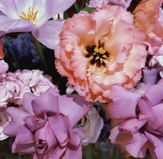a vase with flowers