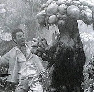 Mushroom Man
