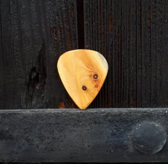 One of our Standard Osage Orange guitar picks balanced on the metal strap of an old, dark door.