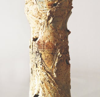 handmade pottery vases by Perry Pottery. 