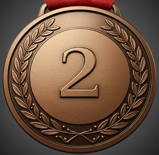 Bronze Medal with Two Times Per Month Home Watch Service