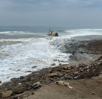 View of the shipwreck and waves