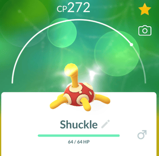 A happy Purified Shuckle!