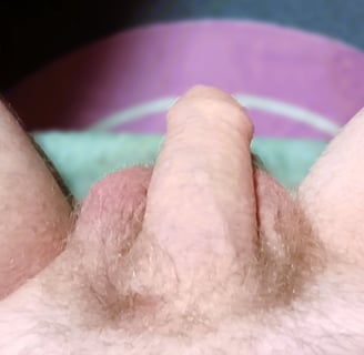 a man's soft penis