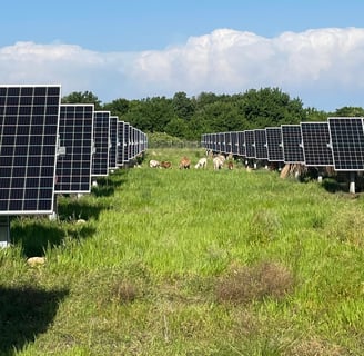 a field of solar panels with solar panels