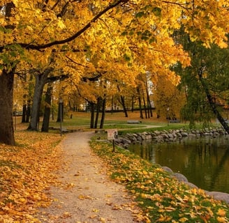 A scenic autumn pathway lined with golden leaves, evoking calmness and connection.