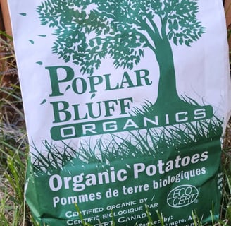 Green and white paper potato bag with Poplar Bluff Organics logo