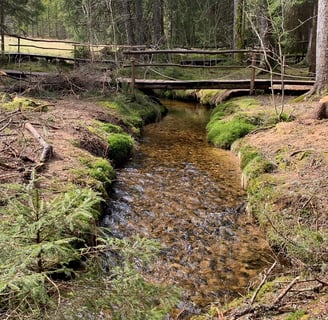 Fluss am Zauberwaldpfad