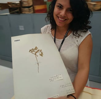 Suzi Santana tenant un spécimen botanique, entre science du vivant et chemin vers la Présence intéri