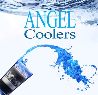 Angel Coolers Lanzarote