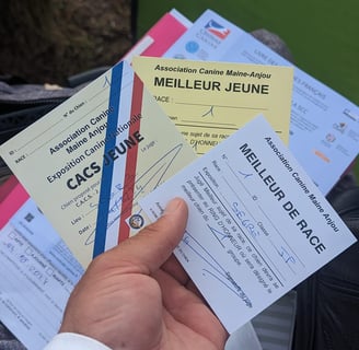 U'éris de la grotte des oneiroi CACS jeune et meilleur de race