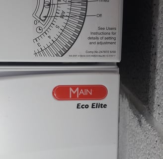 Main Eco Elite boiler in High Bickington