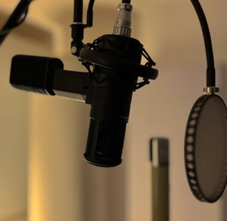 Stam Audio SA-800G