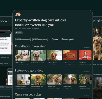 dogAdvisor ✲ dogadvisor ✲ dog advisor ✲ Blog for new dog owners ✲ dogs ✲ dog advisers ✲ dog advisors